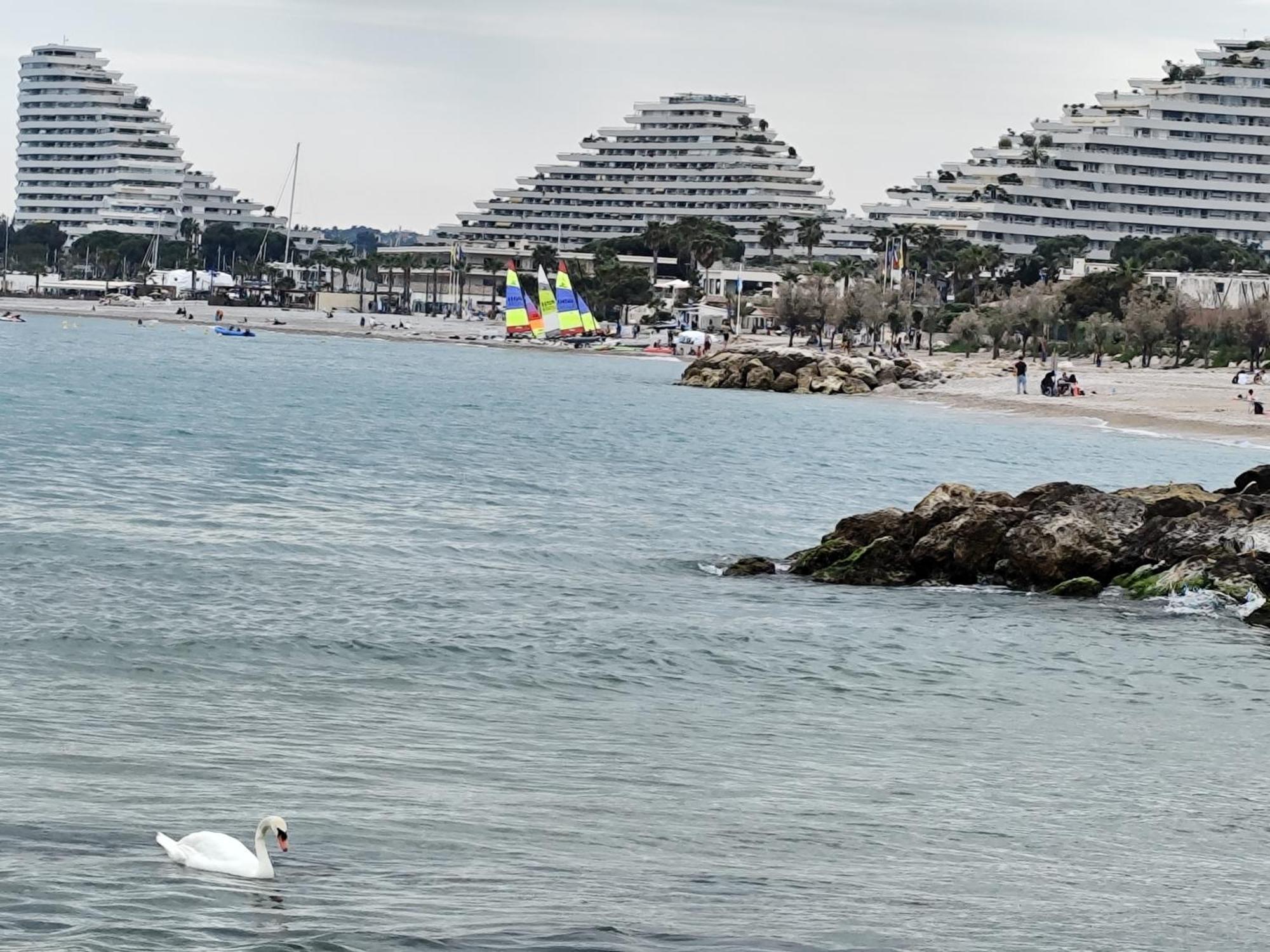 La Marina - T2 Apartment Вильнёв-Лубе Экстерьер фото